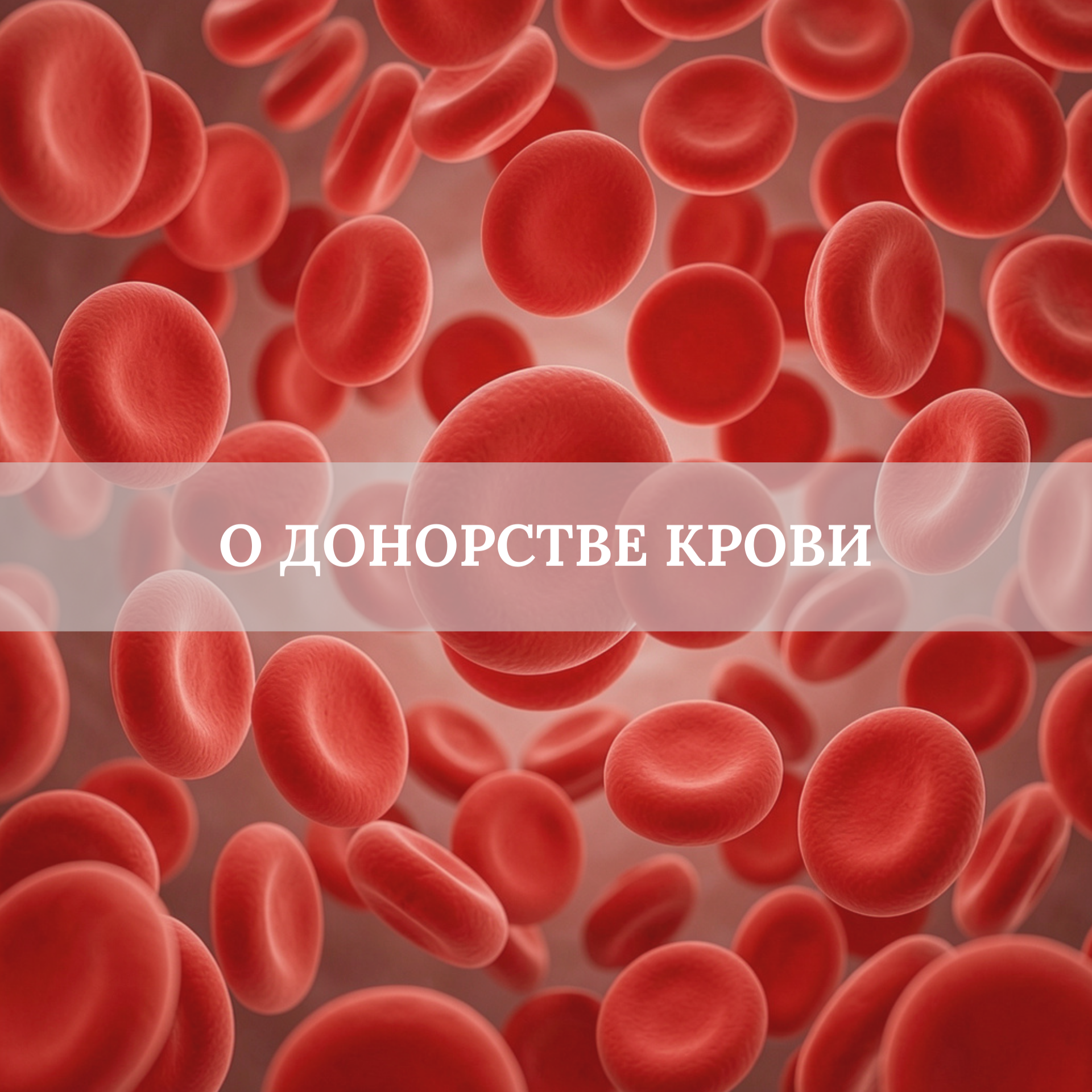 О донорстве крови